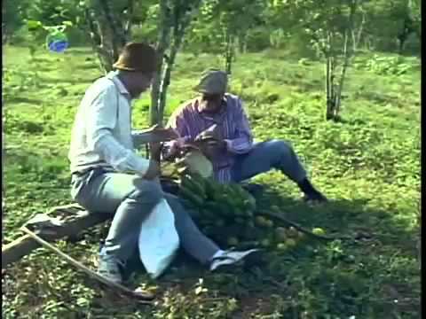 Vivir del Cuento / Humor cubano