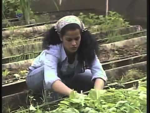 Cuando el Amor no Alcanza Cap 6 – 2015 / Novela cubana