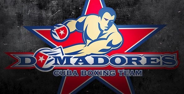 Peleas de la Final del WSB Boxeo en los 49, 64, 69 Kg