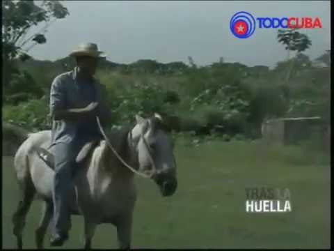 TRAS LA HUELLA CASO «MEJOR NO EMPEZAR» PARTE 2