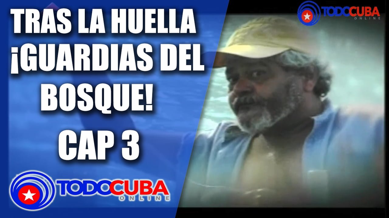 TRAS LA HUELLA GUARDIANES DEL BOSQUE «SIN MENTIRAS» CAP 3