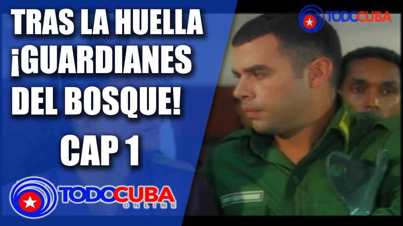 TRAS LA HUELLA «GUARDIANES DEL BOSQUE» CAP 1