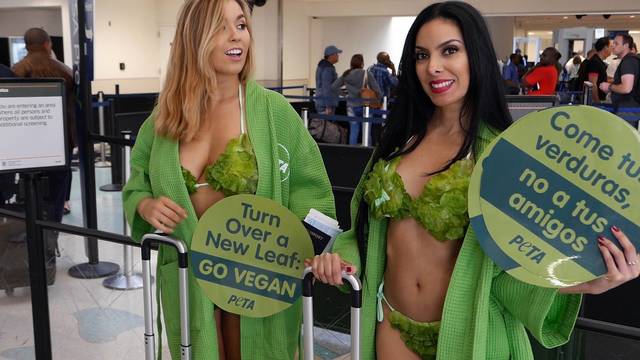 ¡Arriban a La Habana para pedirles a los cubanos que no ingieran carne! Cuba