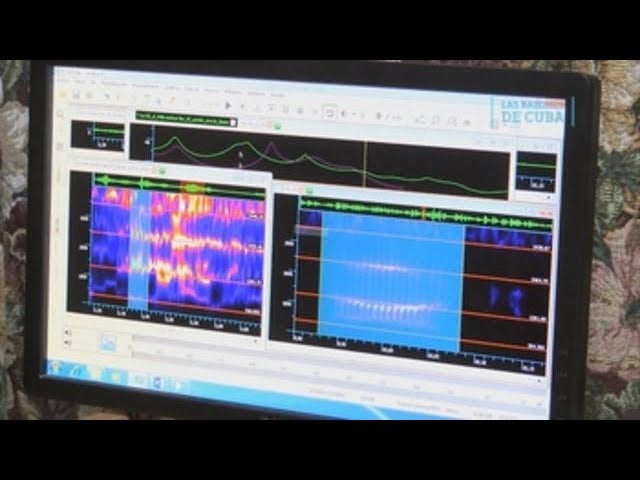 INVESTIGACIÓN DE CUBA NO ENCUENTRA EVIDENCIAS SOBRE «ATAQUES ACÚSTICOS»