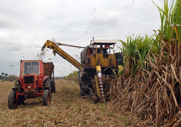 Cuba cierra la zafra azucarera con pésimos resultados por los desastres climáticos